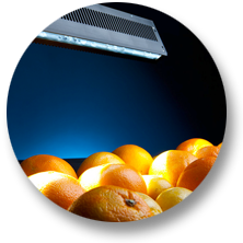 Uniform spot illumination LEDs