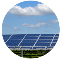 LEDs for Green Industry