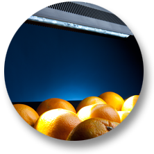 LED Illumination Systems
